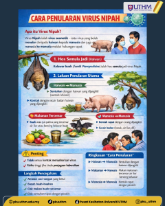 nipah2