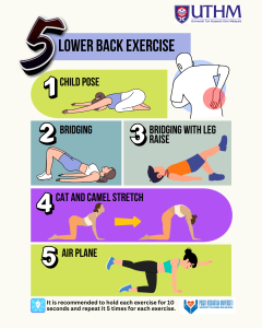 lower_back_exercise